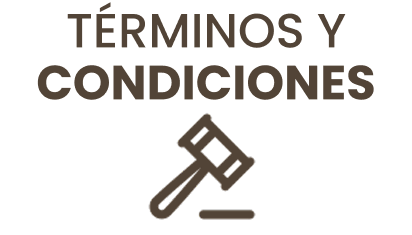 Términos y Condiciones Link